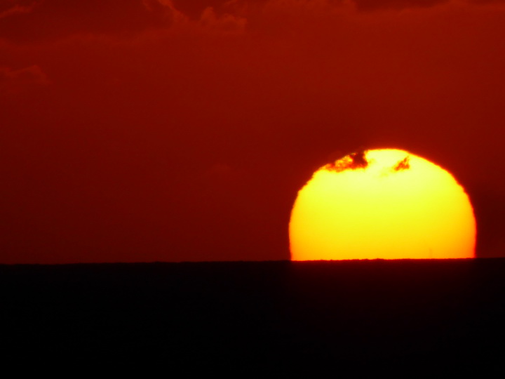 Hamilton Bermuda Bermudas  Sundowner 