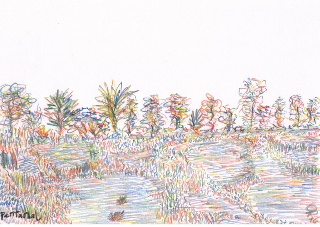 pantanal