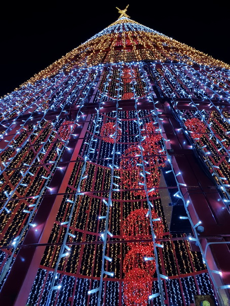 Madeira 2017 Christmastree Weihnachtsbaum Madeira 2017 Christmastree Weihnachtsbaum Weihnachtsschmuck