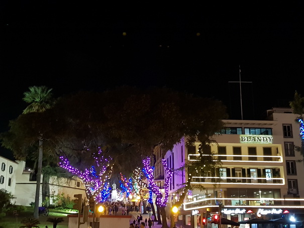 Madeira 2017 Christmastree Weihnachtsbaum Madeira 2017 Christmastree Weihnachtsbaum Weihnachtsschmuck