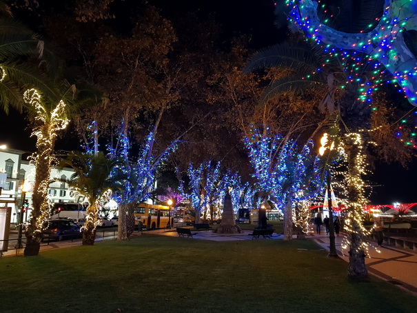 Madeira 2017 Christmastree Weihnachtsbaum Madeira 2017 Christmastree Weihnachtsbaum Weihnachtsschmuck