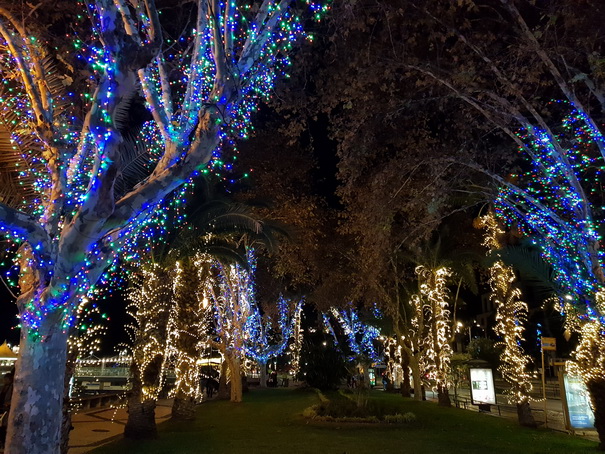 Madeira 2017 Christmastree Weihnachtsbaum Madeira 2017 Christmastree Weihnachtsbaum Weihnachtsschmuck