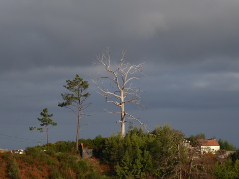 &nbsp;&nbsp;Madeira 2017  Levadawanderung  Camninho de Rochao Poncha Madeira 2017&nbsp;  Levadawanderung  Camninho de Rochao Poncha 