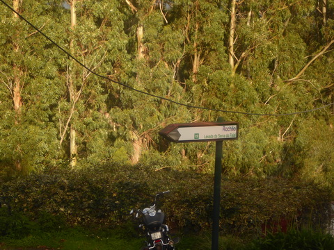 &nbsp;&nbsp;Madeira 2017  Levadawanderung  Camninho de Rochao Poncha Madeira 2017&nbsp;  Levadawanderung  Camninho de Rochao Poncha 