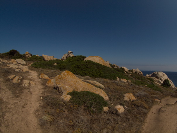 Olbia Sardinien Capo Testa Fish Eye